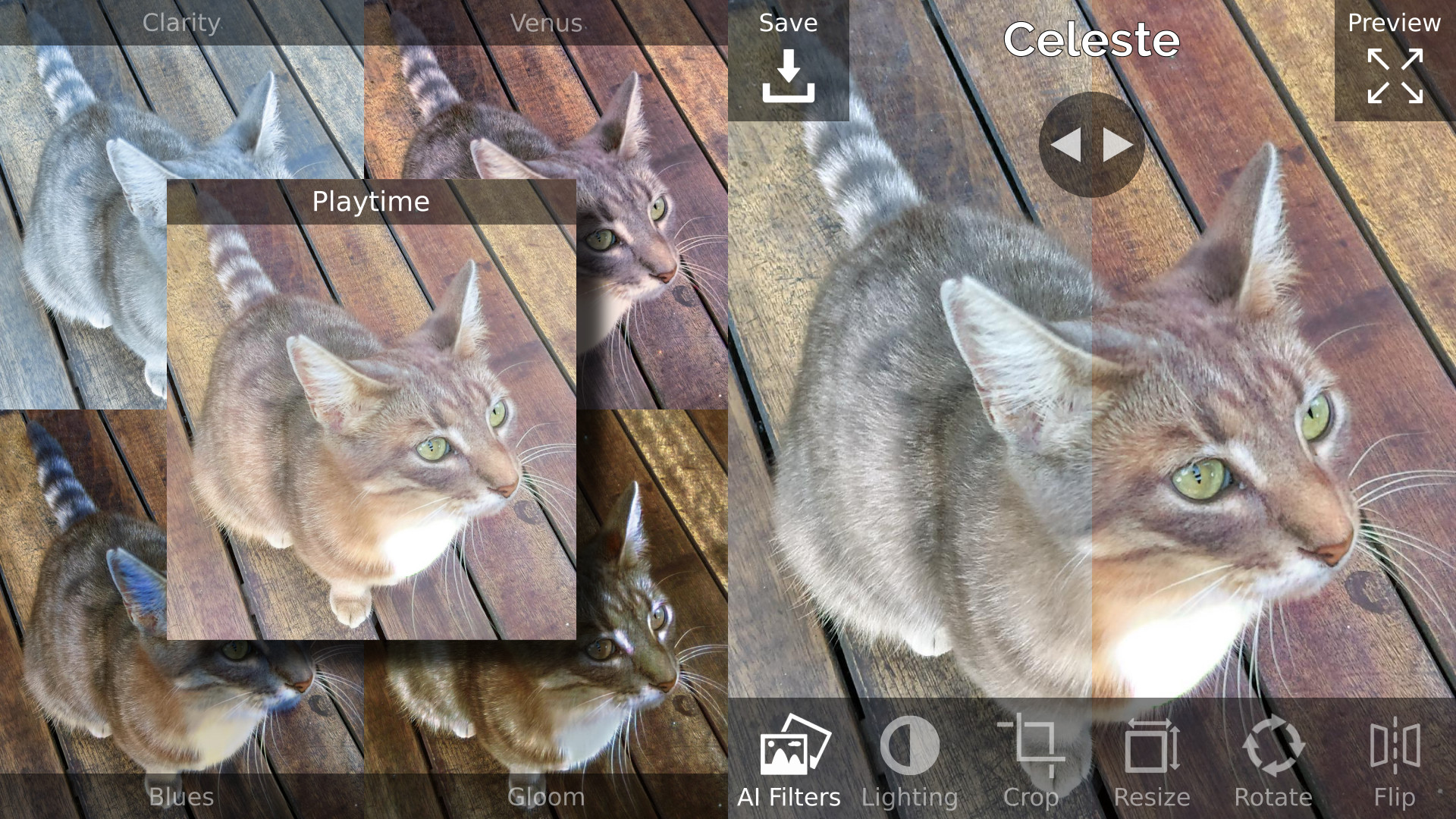 Celeste Photo App