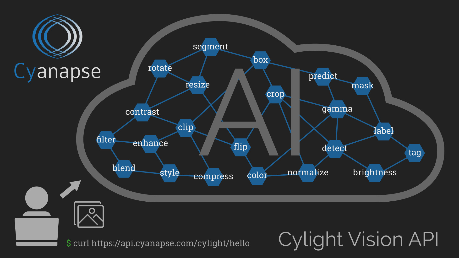Cylight Vision API