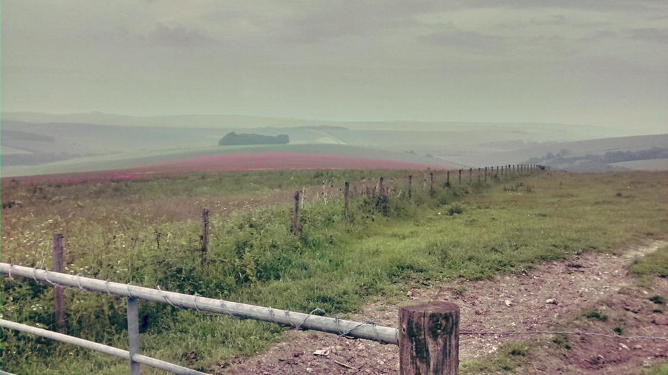 Poppy Fields - Daytime Style