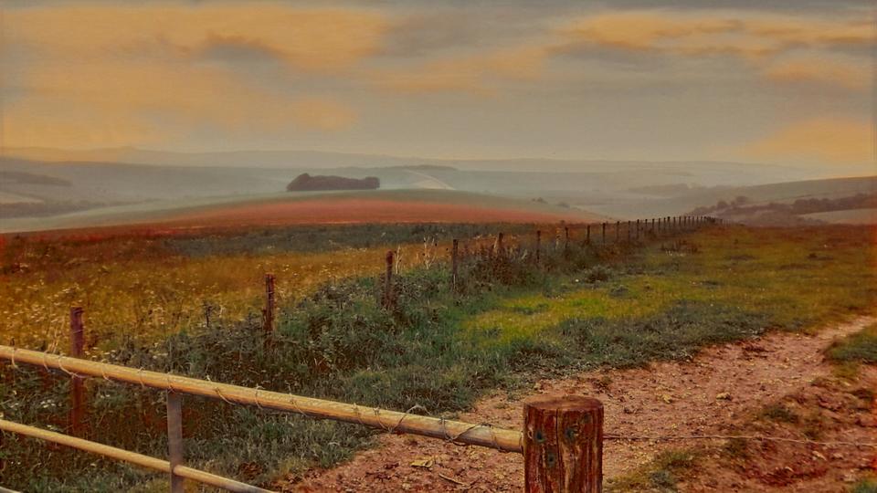 Poppy Fields - Golden Hour Style