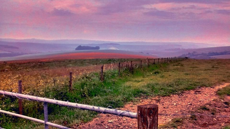 Poppy Fields - Purple Sunset Style